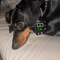 NooBark user Laura B.